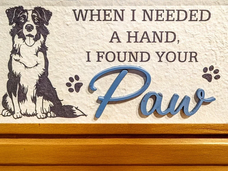 澳门彩票PG电子平台