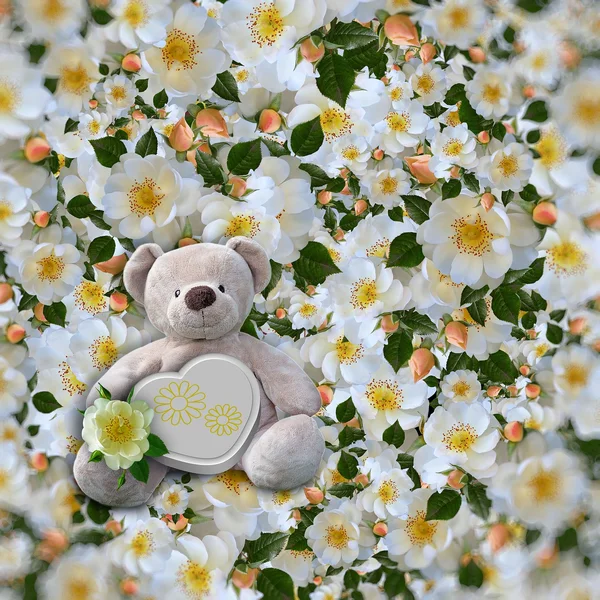 澳门彩票捕鱼游戏